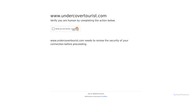 Security scan screenshot of https://www.undercovertourist.com/los-angeles/disneyland-resort/