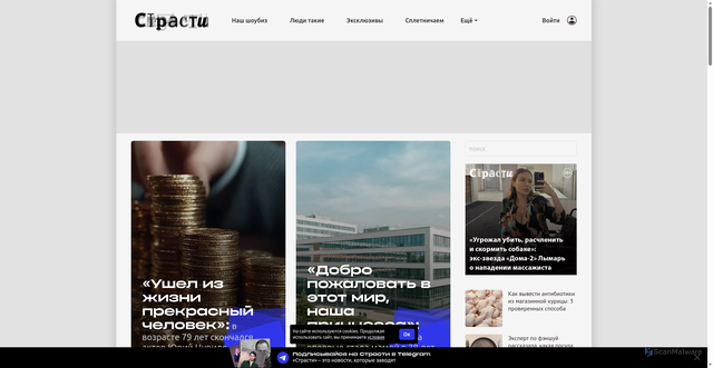 Security scan screenshot of https://www.passion.ru