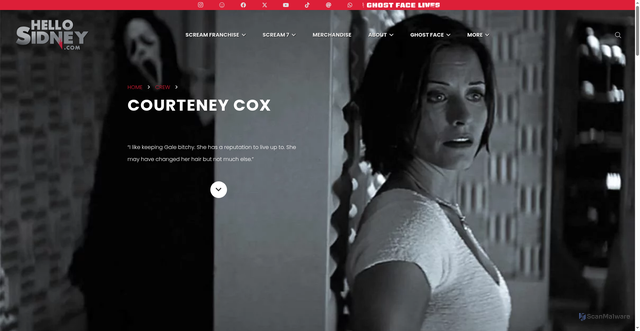 Security scan screenshot of https://hellosidney.com/person/courteney-cox/