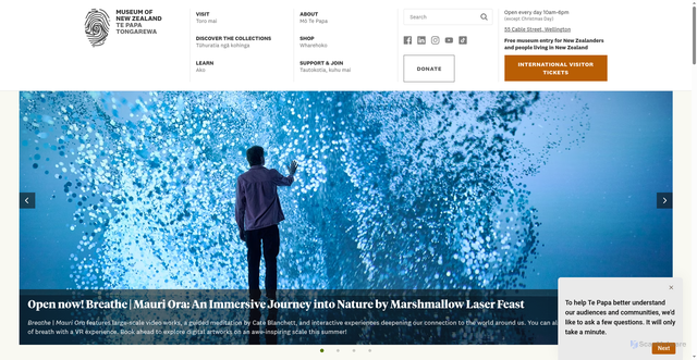 Security scan screenshot of https://www.tepapa.govt.nz/