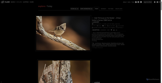 Security scan screenshot of https://fluidr.com
