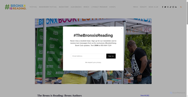 Security scan screenshot of https://www.thebronxisreading.com/