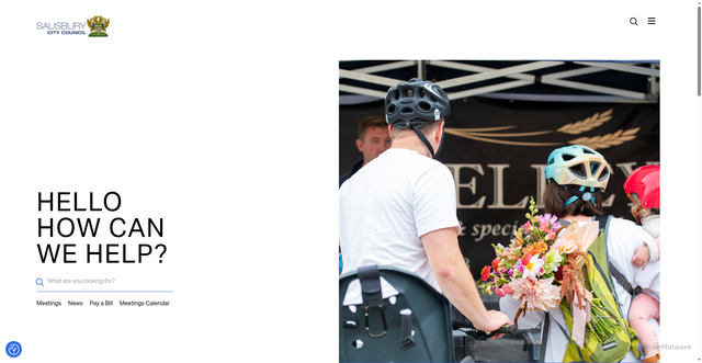 Security scan screenshot of https://salisburycitycouncil.gov.uk/