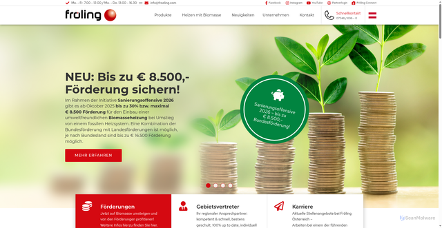 Security scan screenshot of https://froeling.com