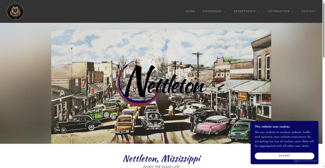 Security scan screenshot of https://nettletonms.gov/