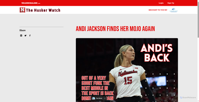Security scan screenshot of https://www.vbadrenaline.com/fan-page-news/andi-jackson-finds-her-mojo-again-after-a-slow-start
