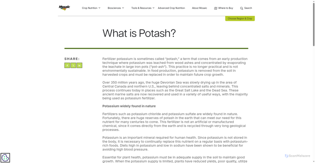 Security scan screenshot of https://www.cropnutrition.com/resource-library/what-is-potash/