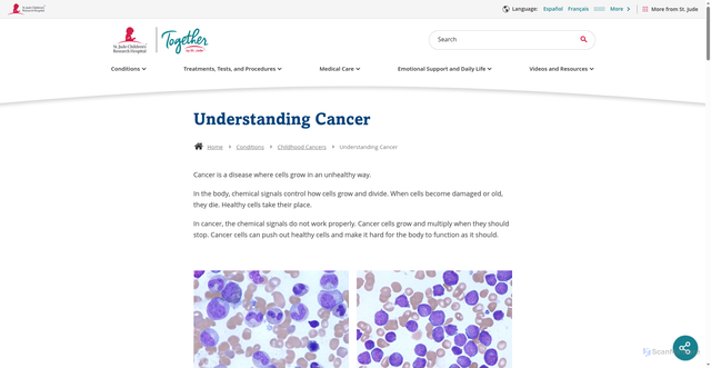 Security scan screenshot of https://together.stjude.org/en-us/conditions/cancers/what-is-cancer.html