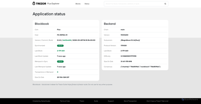 Security scan screenshot of https://blockbook.runonflux.io