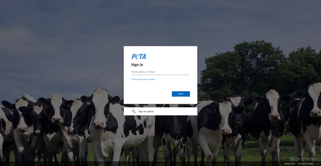 Security scan screenshot of https://petafoundation-my.sharepoint.com