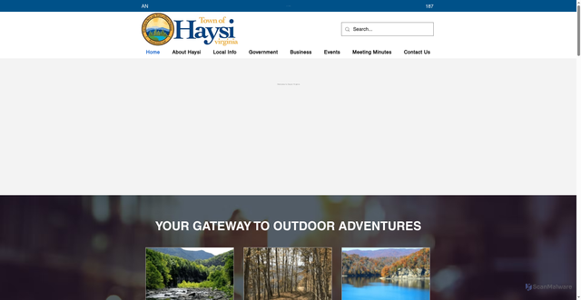 Security scan screenshot of https://www.haysivirginia.gov/