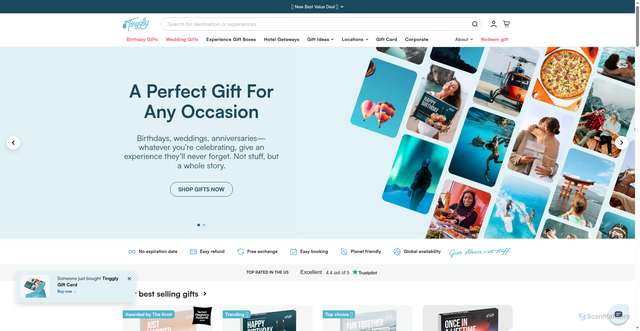 Security scan screenshot of https://tinggly.com