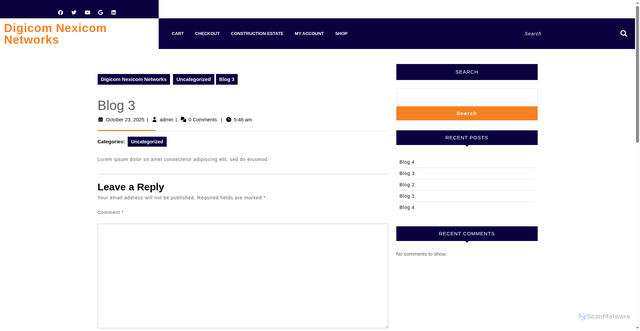 Security scan screenshot of https://digicomnexicomnetworks.co.ke/?p=70