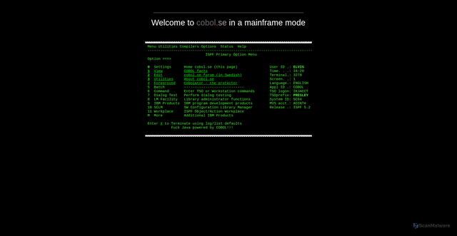 Security scan screenshot of https://cobol.se