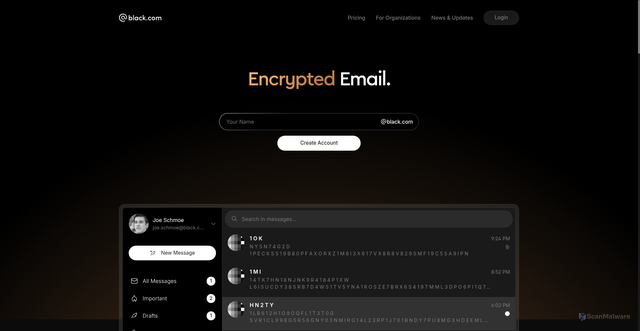 Security scan screenshot of https://black.com/