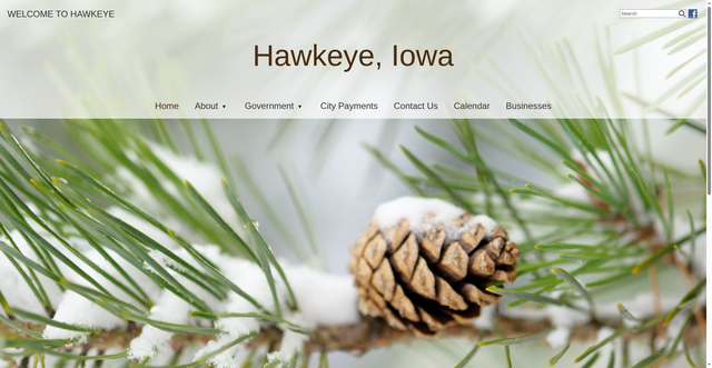 Security scan screenshot of https://hawkeyeia.gov/
