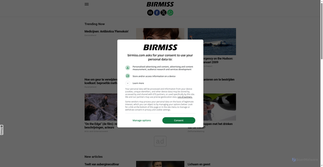 Security scan screenshot of https://birmiss.com