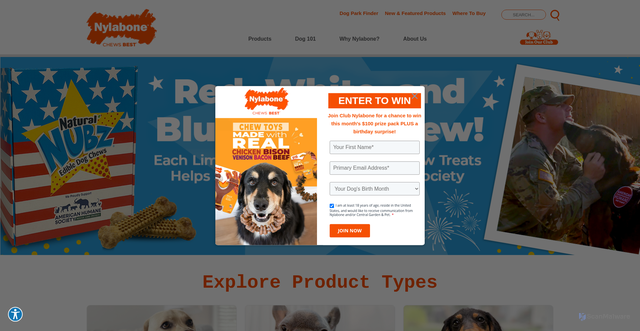 Security scan screenshot of https://www.nylabone.com