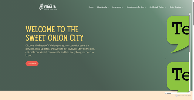 Security scan screenshot of https://vidaliaga.gov/