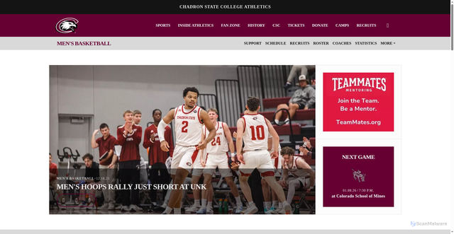 Security scan screenshot of https://chadroneagles.com/sports/mens-basketball