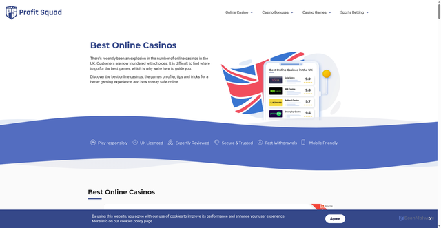 Security scan screenshot of https://rogerpayne.info/
