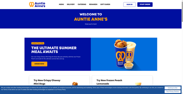 Security scan screenshot of https://auntieannes.com