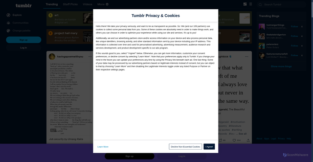 Security scan screenshot of https://tumblr.com