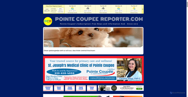 Security scan screenshot of https://pointecoupeereporter.com/