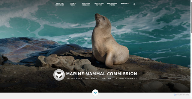 Security scan screenshot of https://www.mmc.gov/