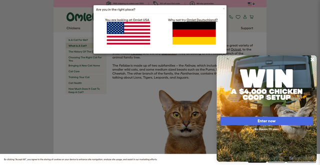 Security scan screenshot of https://www.omlet.us/guide/cats/what-is-a-cat/