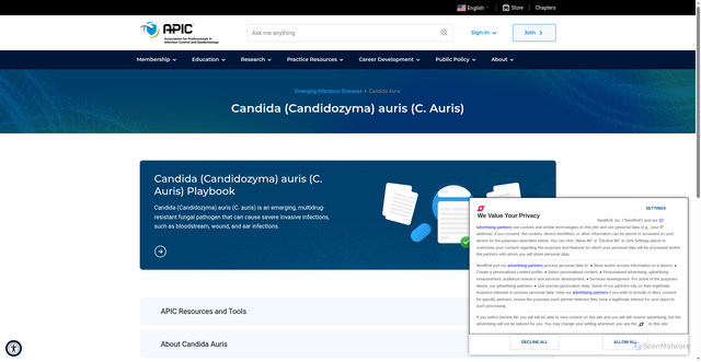 Security scan screenshot of https://apic.org/emerging-infectious-diseases/candida-auris/