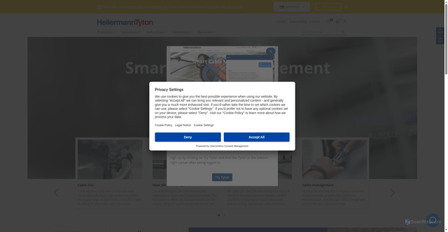 Security scan screenshot of https://www.hellermanntyton.com