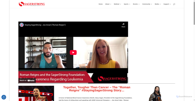 Security scan screenshot of https://sagerstrongfoundation.org/the-roman-reigns-story/