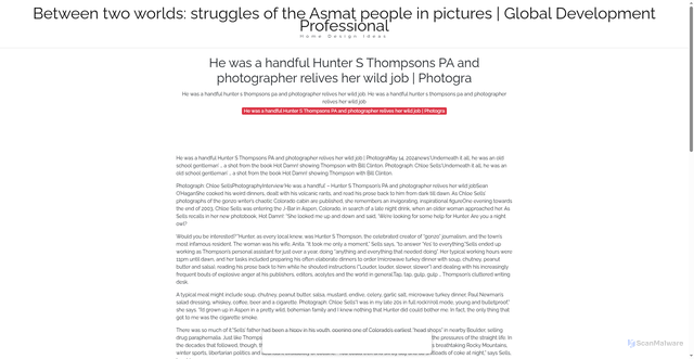 Security scan screenshot of https://goldjavahugo-pjpb4bdkq4.edgeone.app/23624-he-was-a-handful-hunter-s-thompsons-pa-and-photographer-relives-her-wild-job-photogra.html