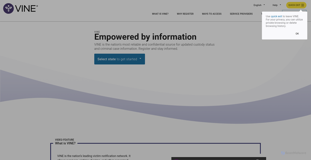 Security scan screenshot of https://www.vinelink.com