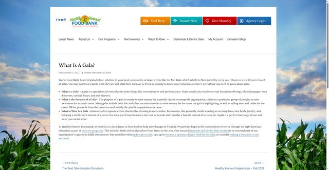 Security scan screenshot of https://www.hhfb.org/news/what-is-a-gala/