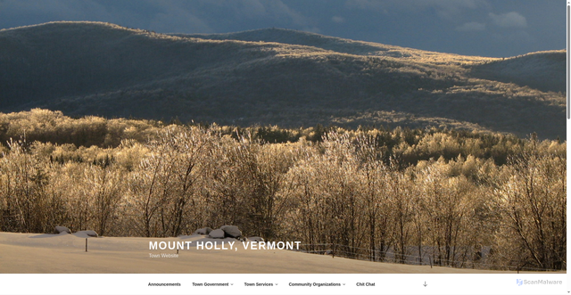 Security scan screenshot of https://www.mounthollyvt.org/