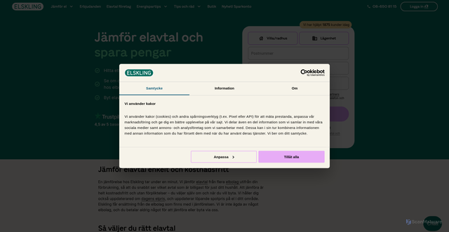 Security scan screenshot of api.connectel.app