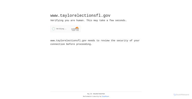 Security scan screenshot of https://www.taylorelectionsfl.gov/