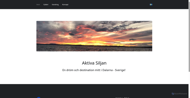Security scan screenshot of https://trapperservice.se