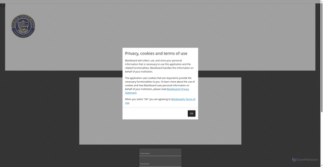 Security scan screenshot of https://keiseruniversity.blackboard.com