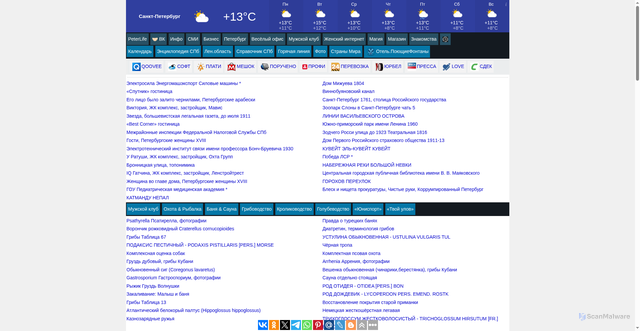 Security scan screenshot of https://www.peterlife.ru