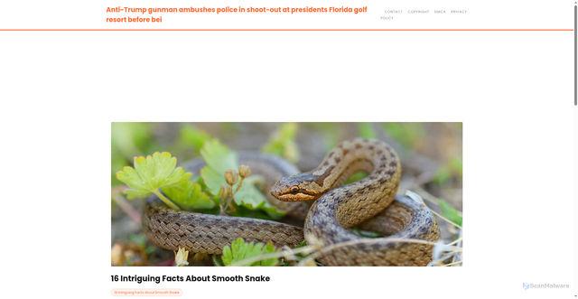 Security scan screenshot of https://ceritamodernstories-dpkbqqgk6sp8.edgeone.app/16-intriguing-facts-about-smooth-snake.html