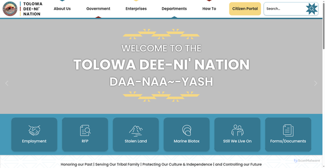 Security scan screenshot of https://www.tolowa.gov/