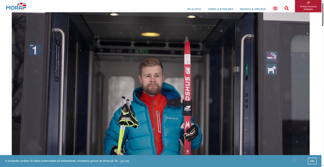 Security scan screenshot of https://mora.se/