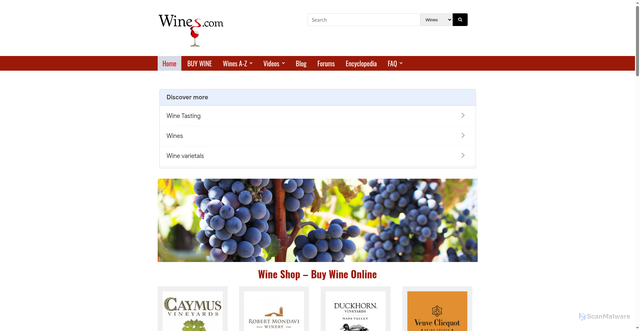 Security scan screenshot of https://www.wines.com/