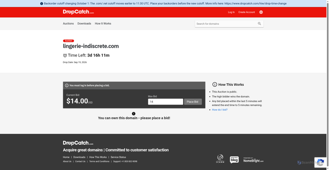 Security scan screenshot of https://lingerie-indiscrete.com