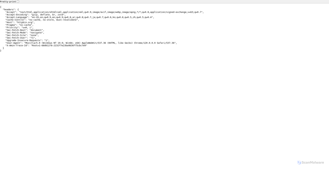 Security scan screenshot of https://httpbin.org/headers