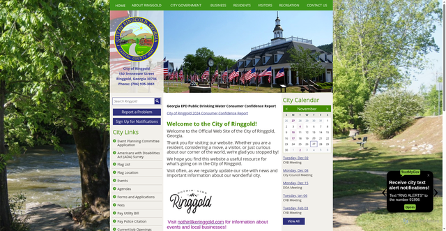 Security scan screenshot of https://cityofringgoldga.gov/