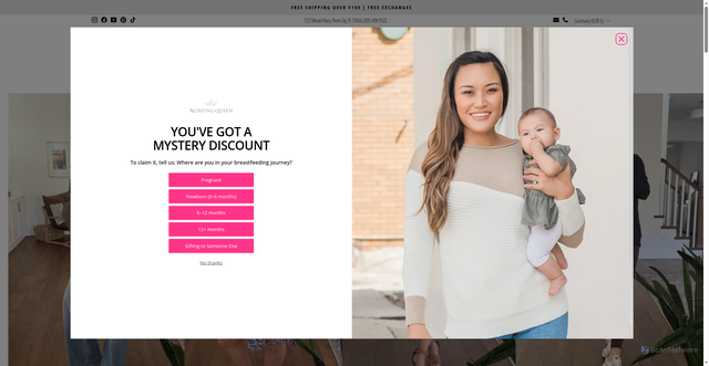 Security scan screenshot of https://nursingqueen.com